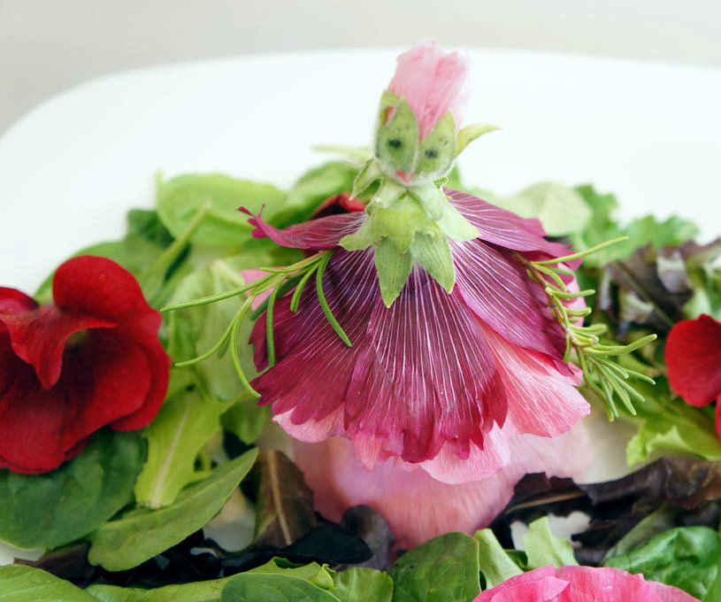 The Hollyhock Doll