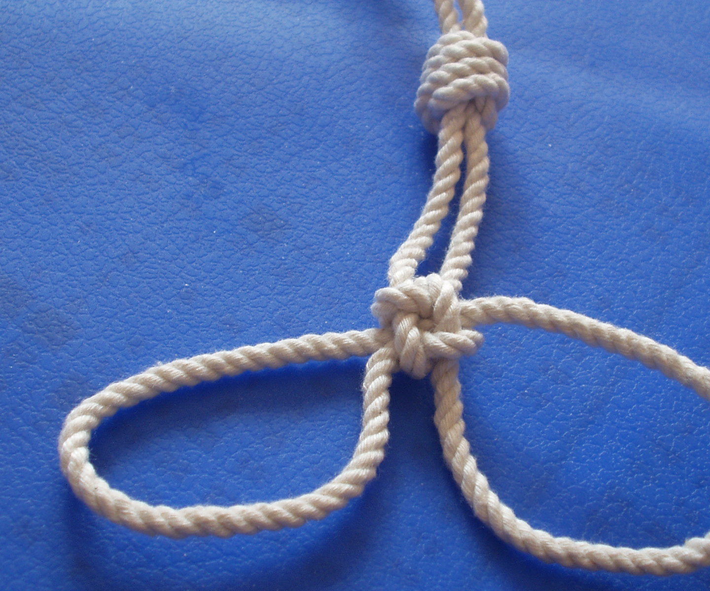 Double Friendship Knot