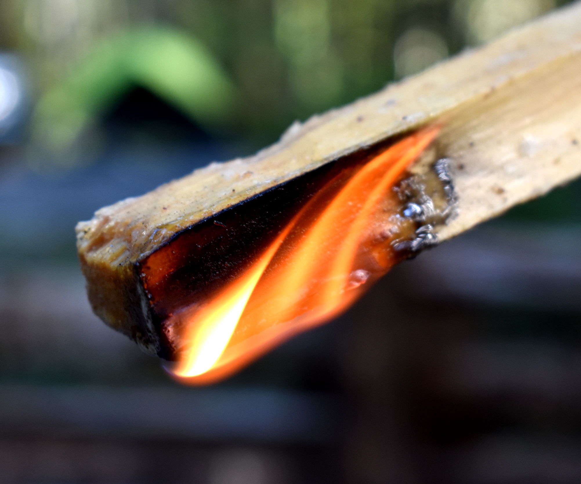 Bacon Infused Fire Lighters