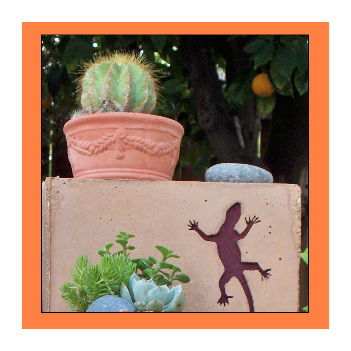 Make Unique Planters With Concrete