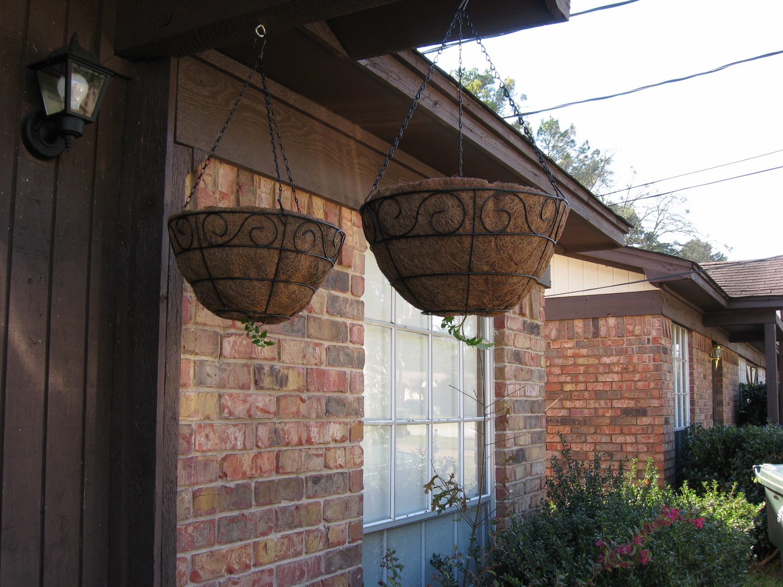 How to Plant Hanging Upsidedown Tomatoes