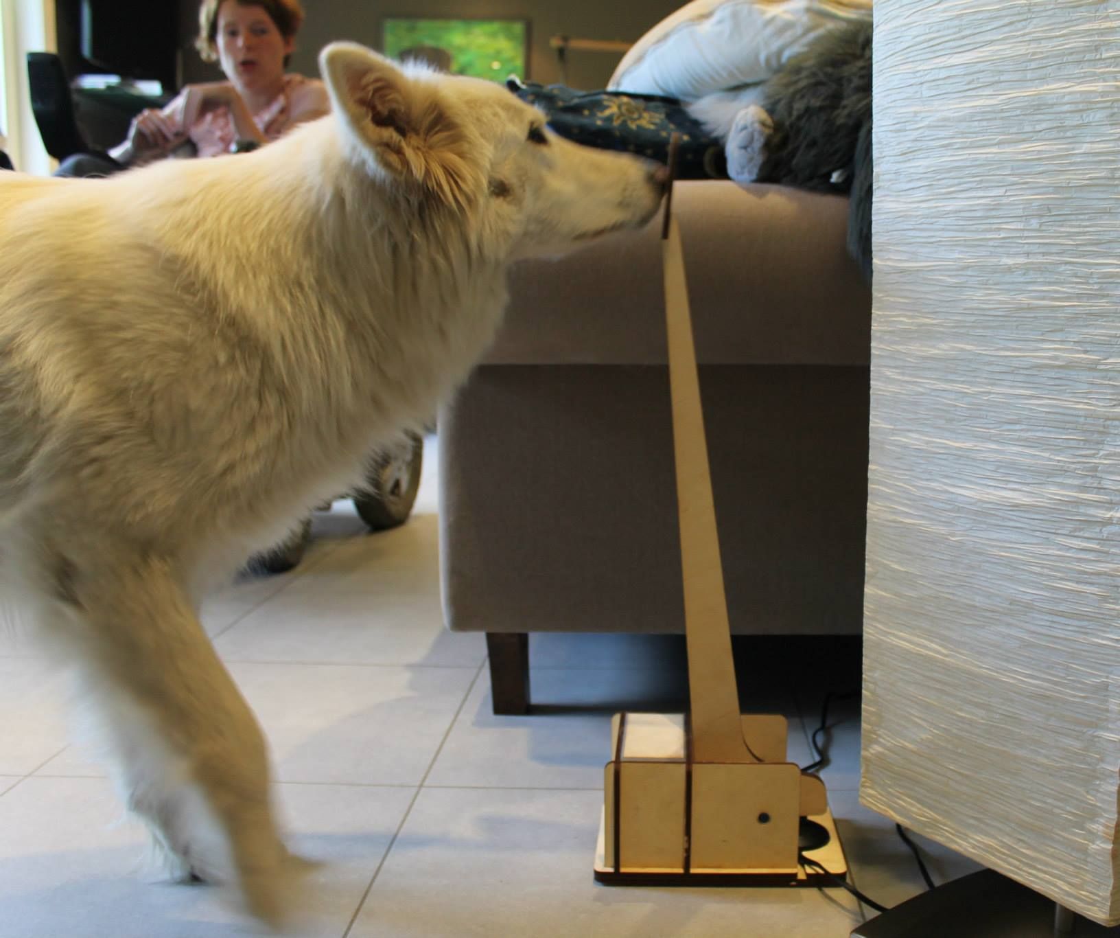 DIY lamp switch for dogs