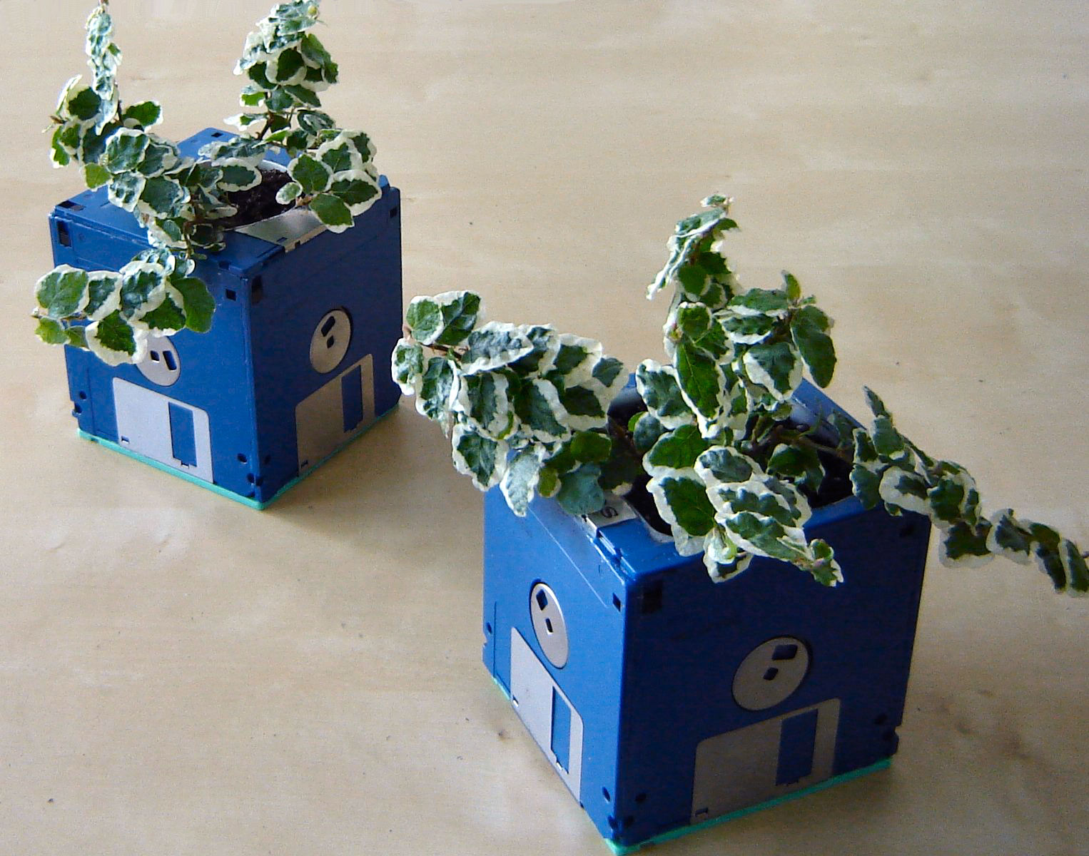 Floppy Disk Planter