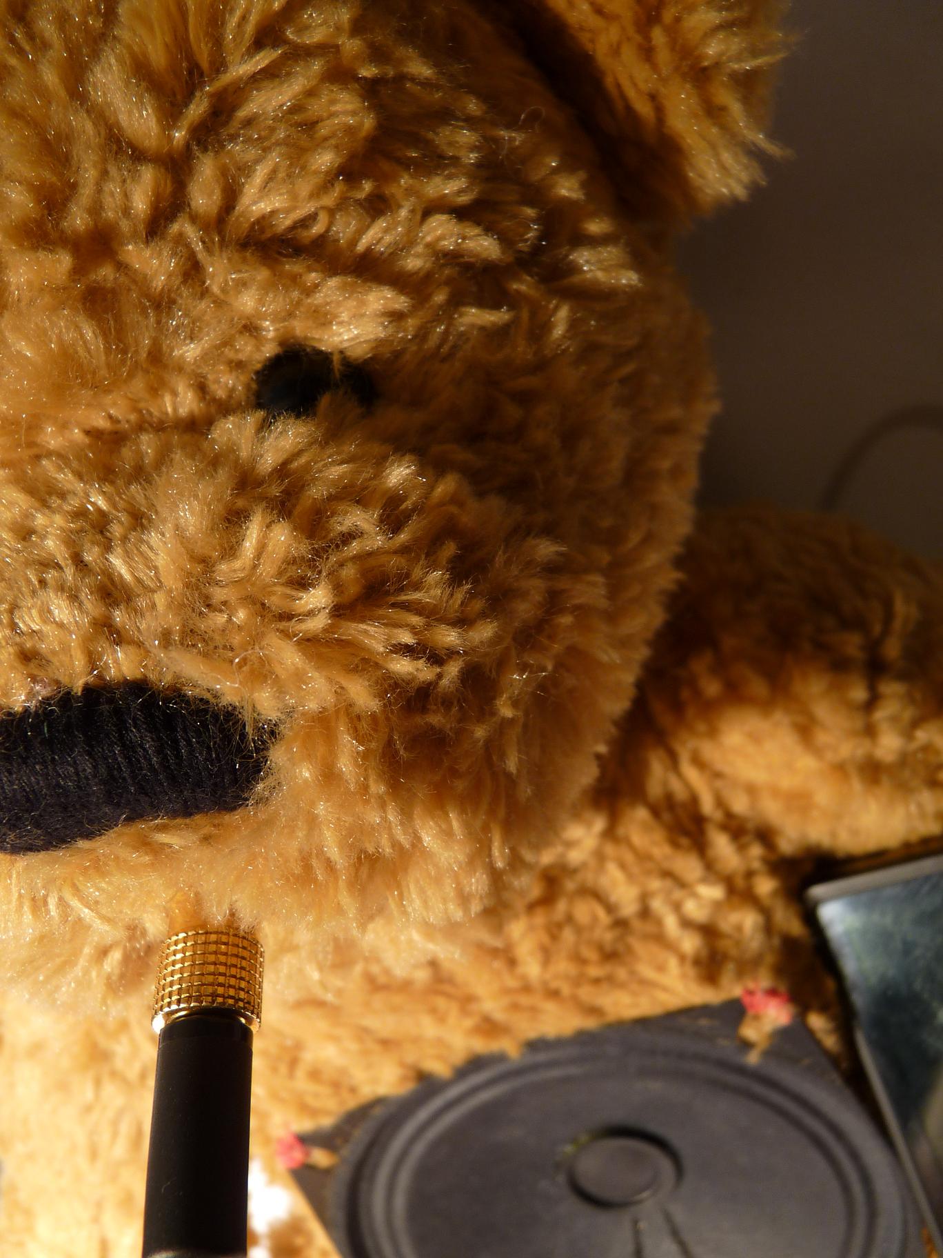 DIY #4 Bear BoomBox - The Teddy Speaker Bear