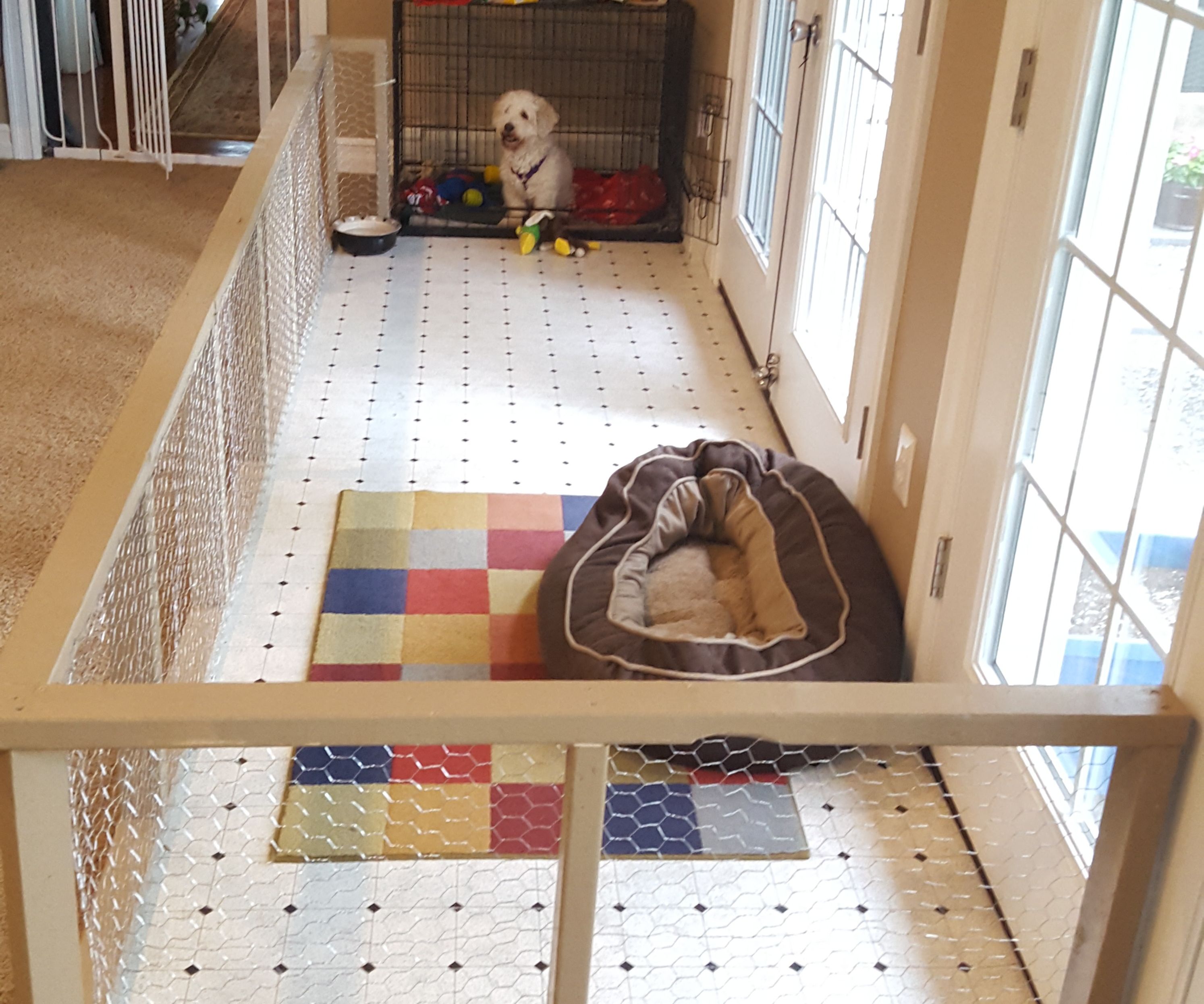 Custom Rescue Dog Pen