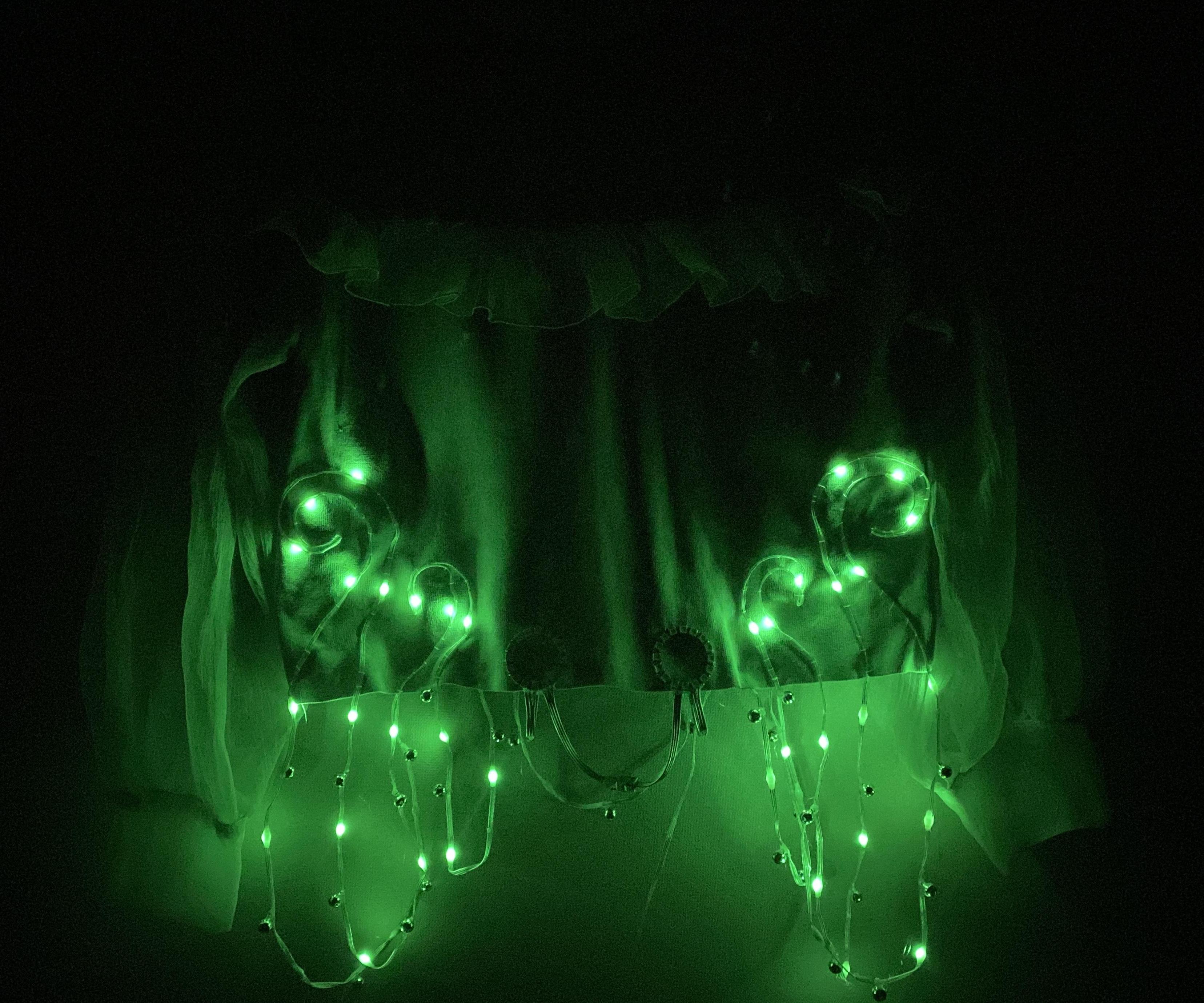 Studio Project 4: Networked Fashion 2 “Nature Symphony”