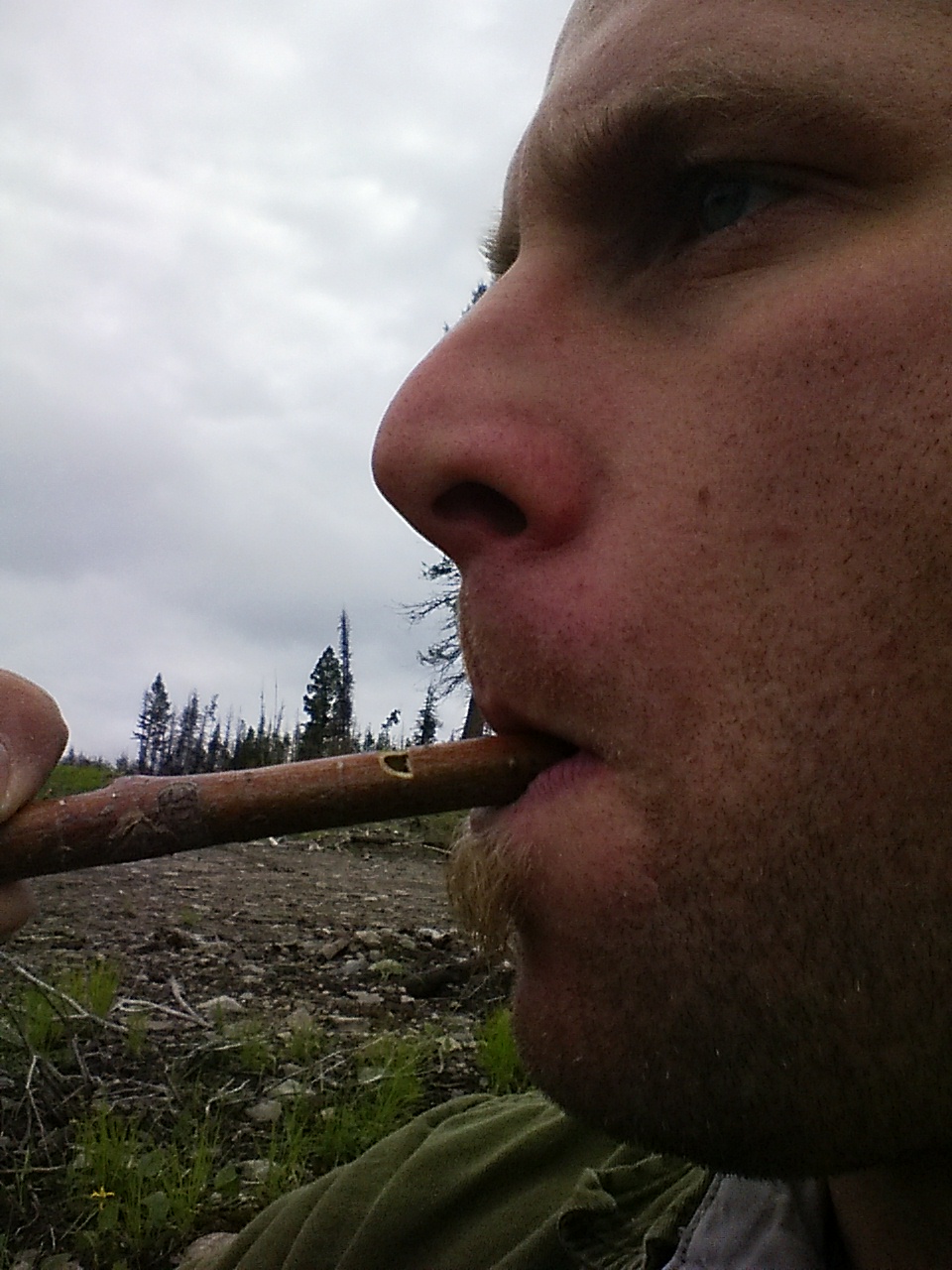 Stick bark whistle