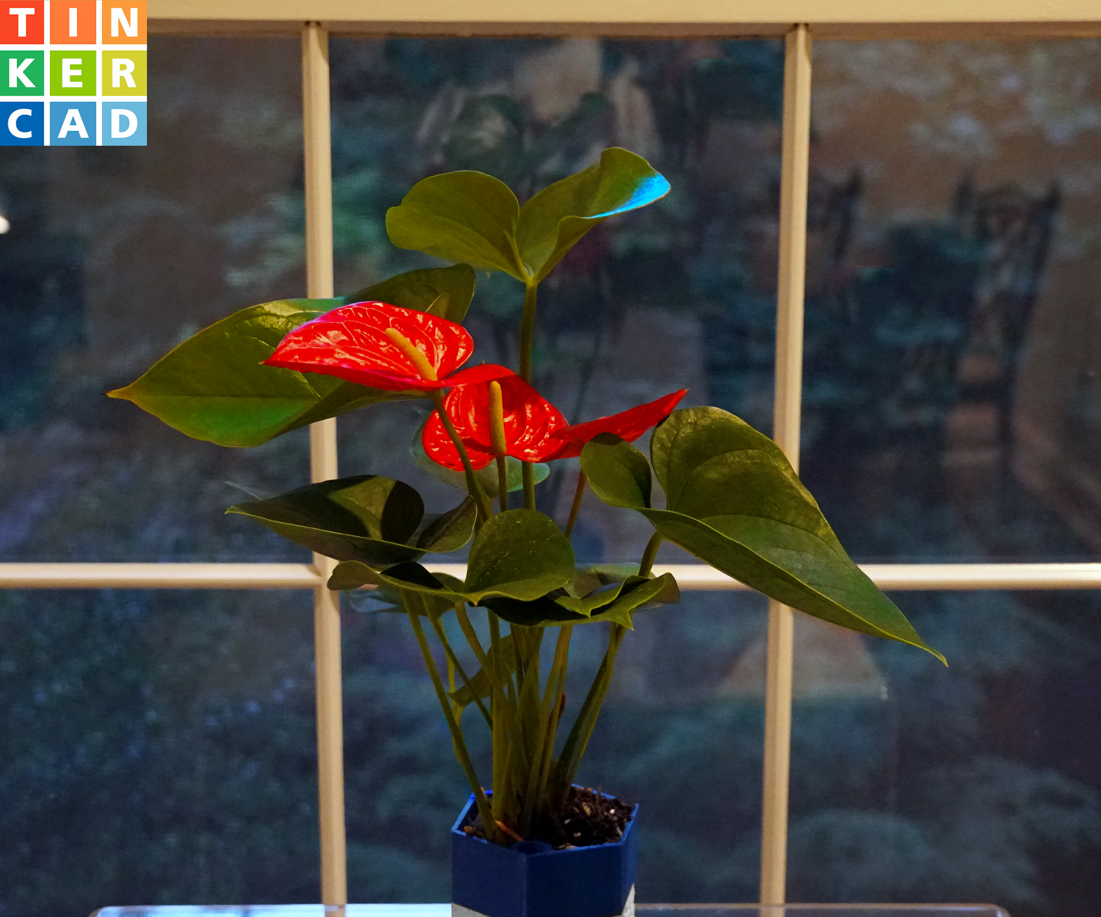 DIY Customizable Self Watering Planter (3D Printed)
