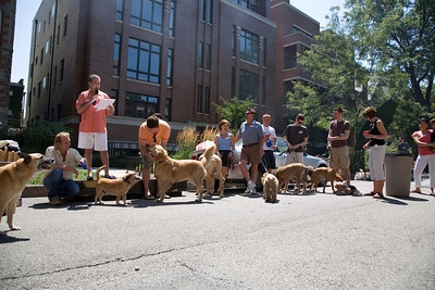 C:\Documents and Settings\HP_Owner\Desktop\Mandy's Stuff\Neighbors Project\Block Party\York pics\big pet parade[1].jpg