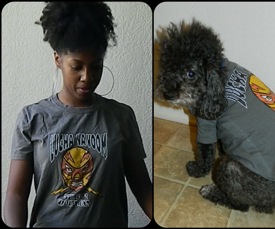 Transform Your T-shirt Into a Dog Tshirt