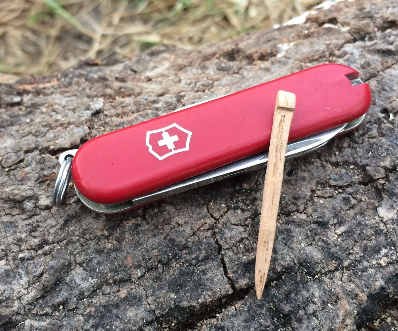 Replacement Toothpick for a Swiss Army Knife 