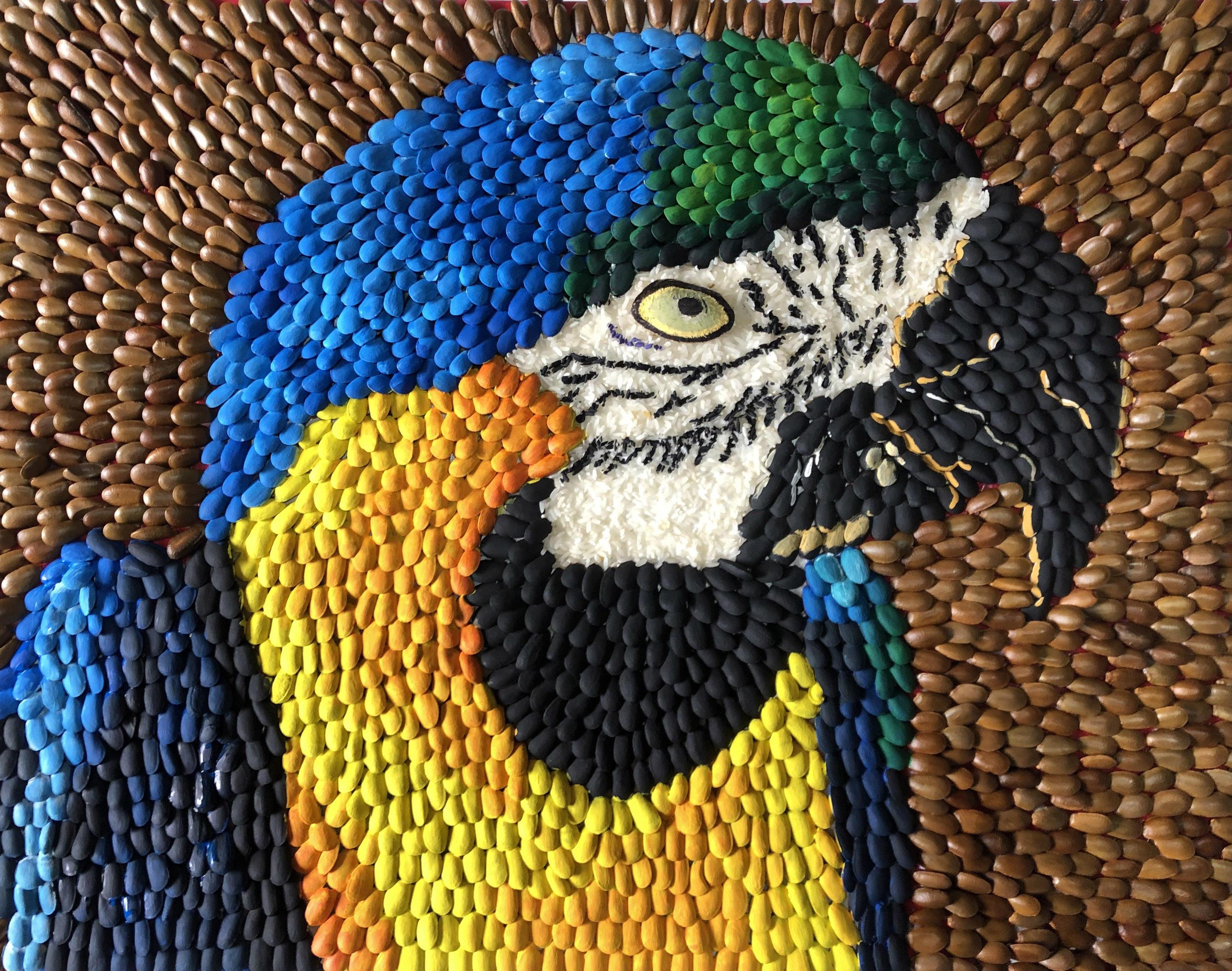 Macaw With Soursop Seeds, Rice and Mango.