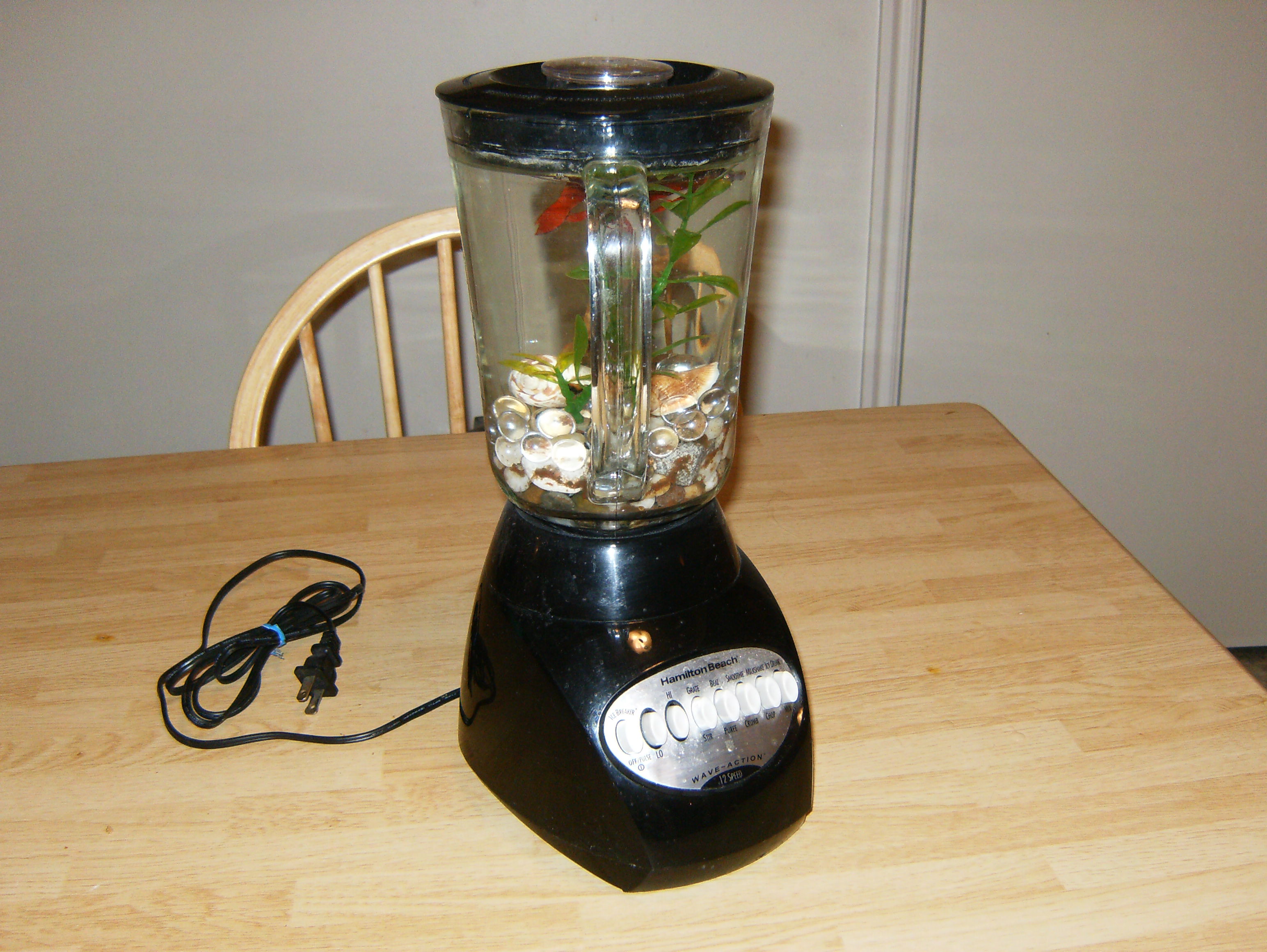 The Fishtank Blender.  "The Blender Tank"