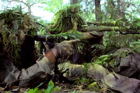 The Ultimate Guide To Airsofting!(Really)
