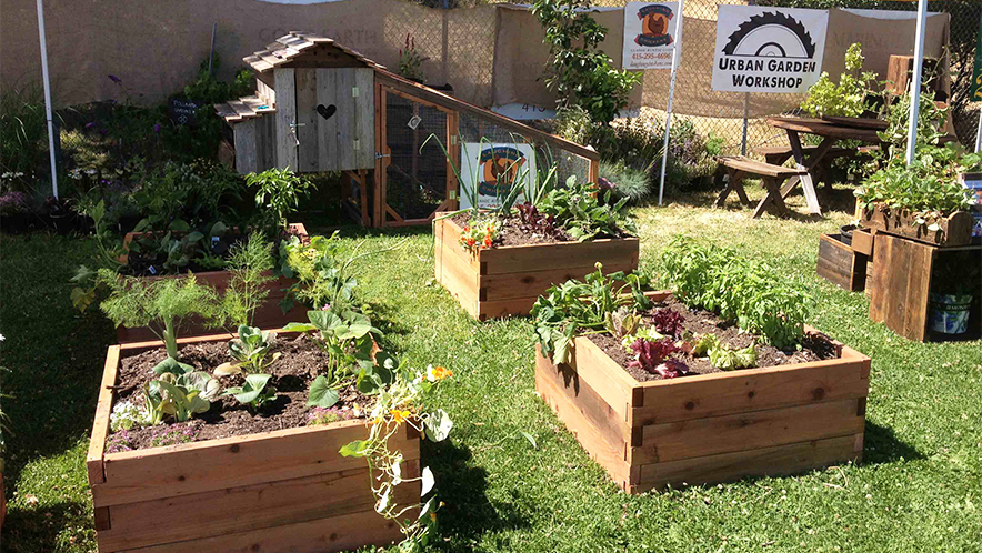 Getting Started With Gardening Using Raised Beds