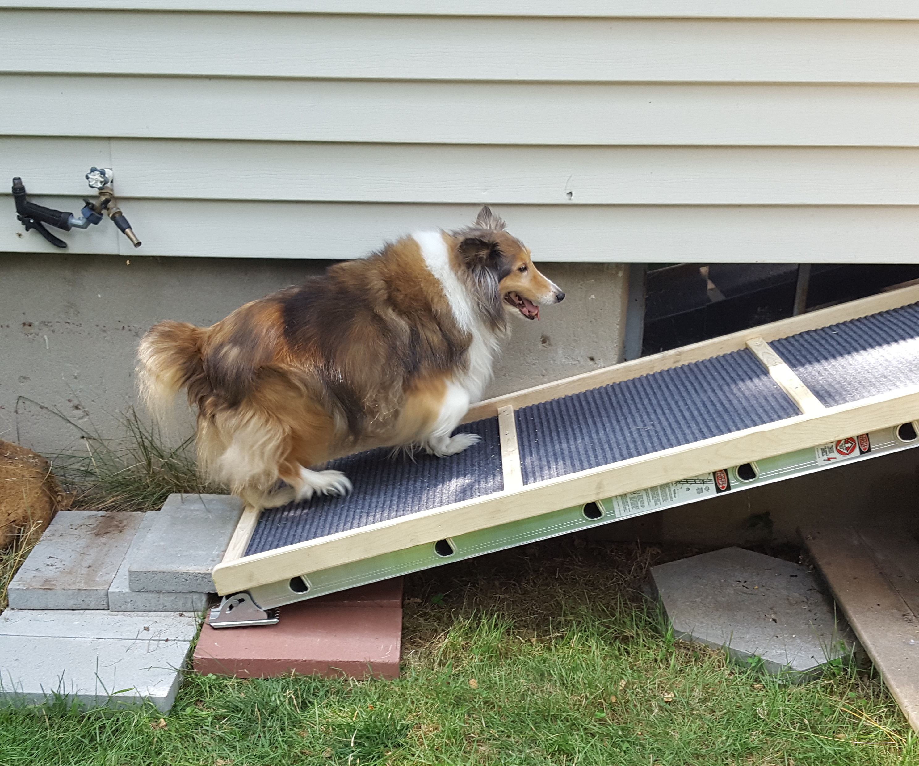 Mighty Light Pet Accessibility Ramp