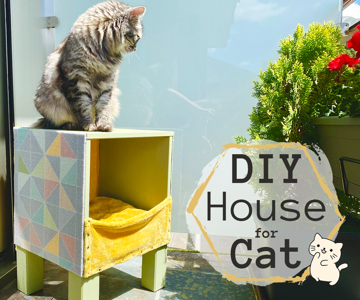 Cube Cat House