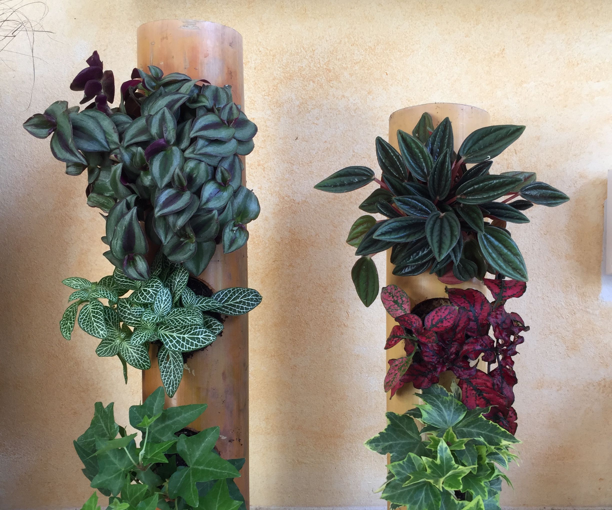Bamboo Wall (or Shelf) Planters