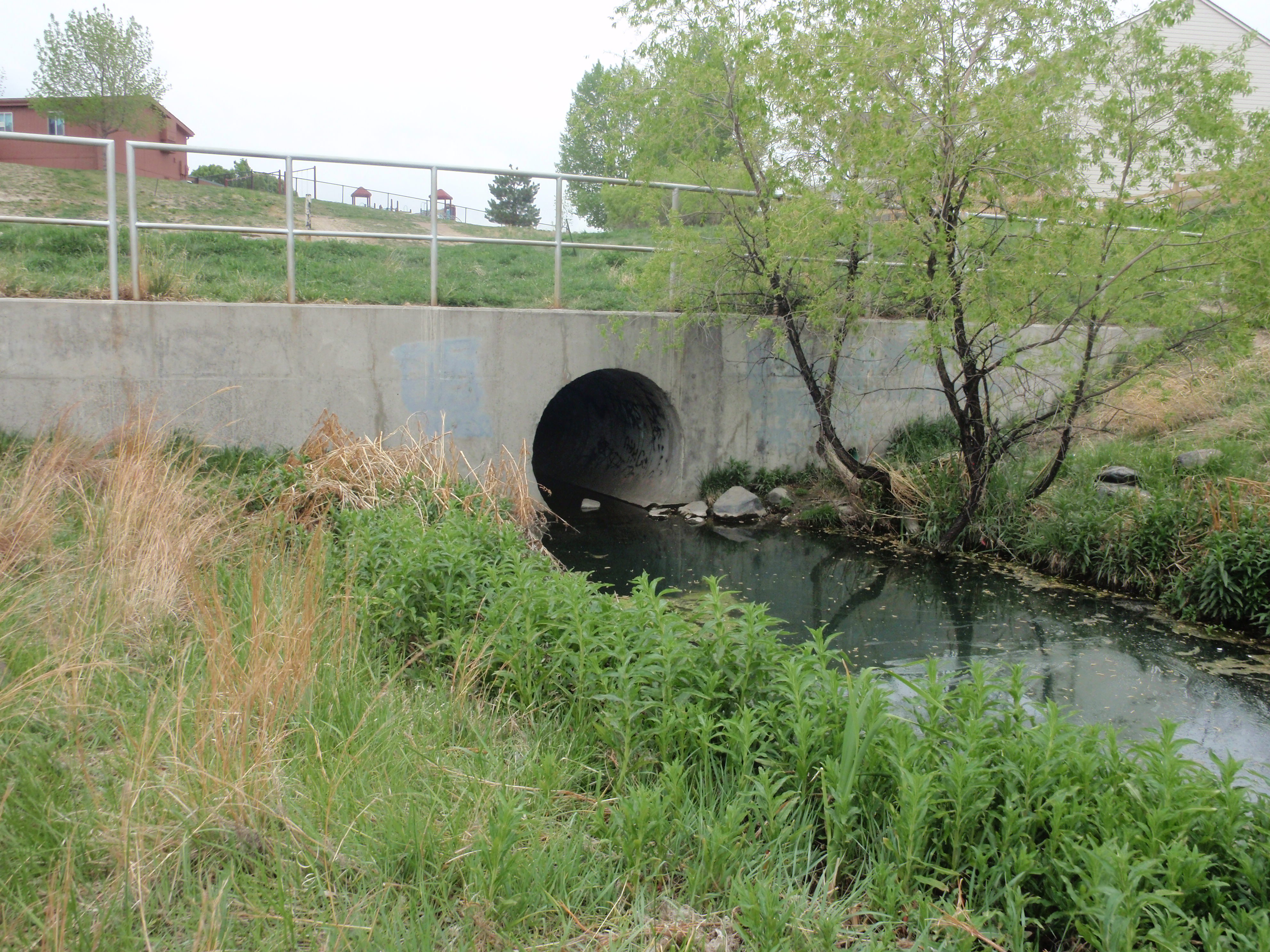 Exploring the Storm Water Drain System