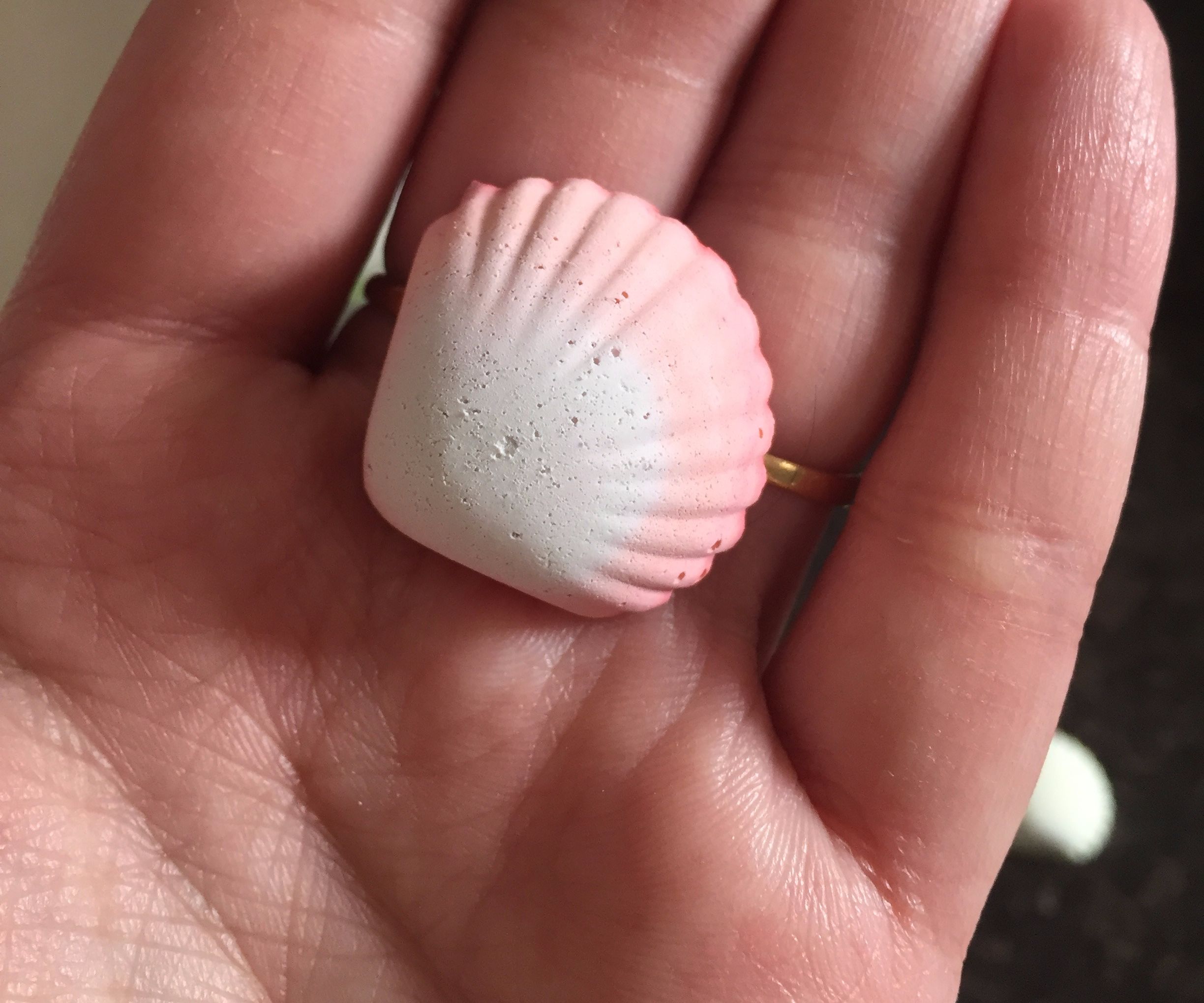  Sea Shell (pop)