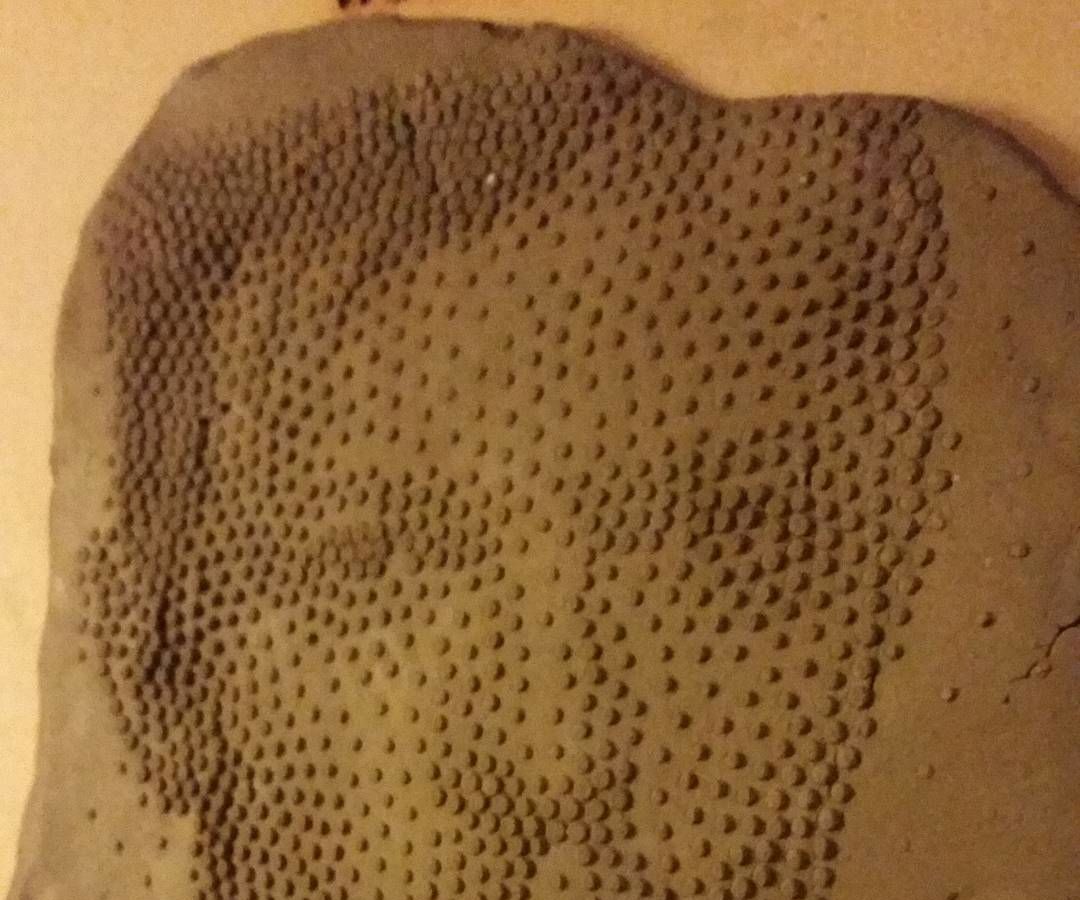 Clay Protraits