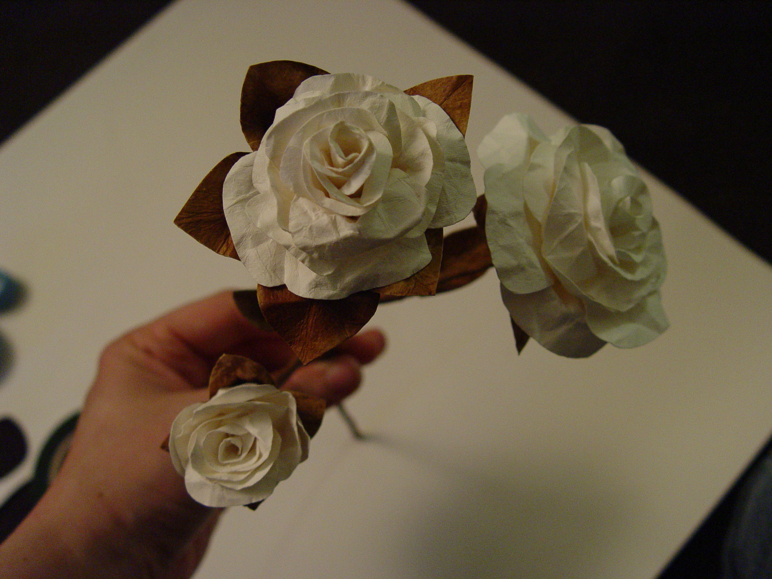 Simple Paper Flowers