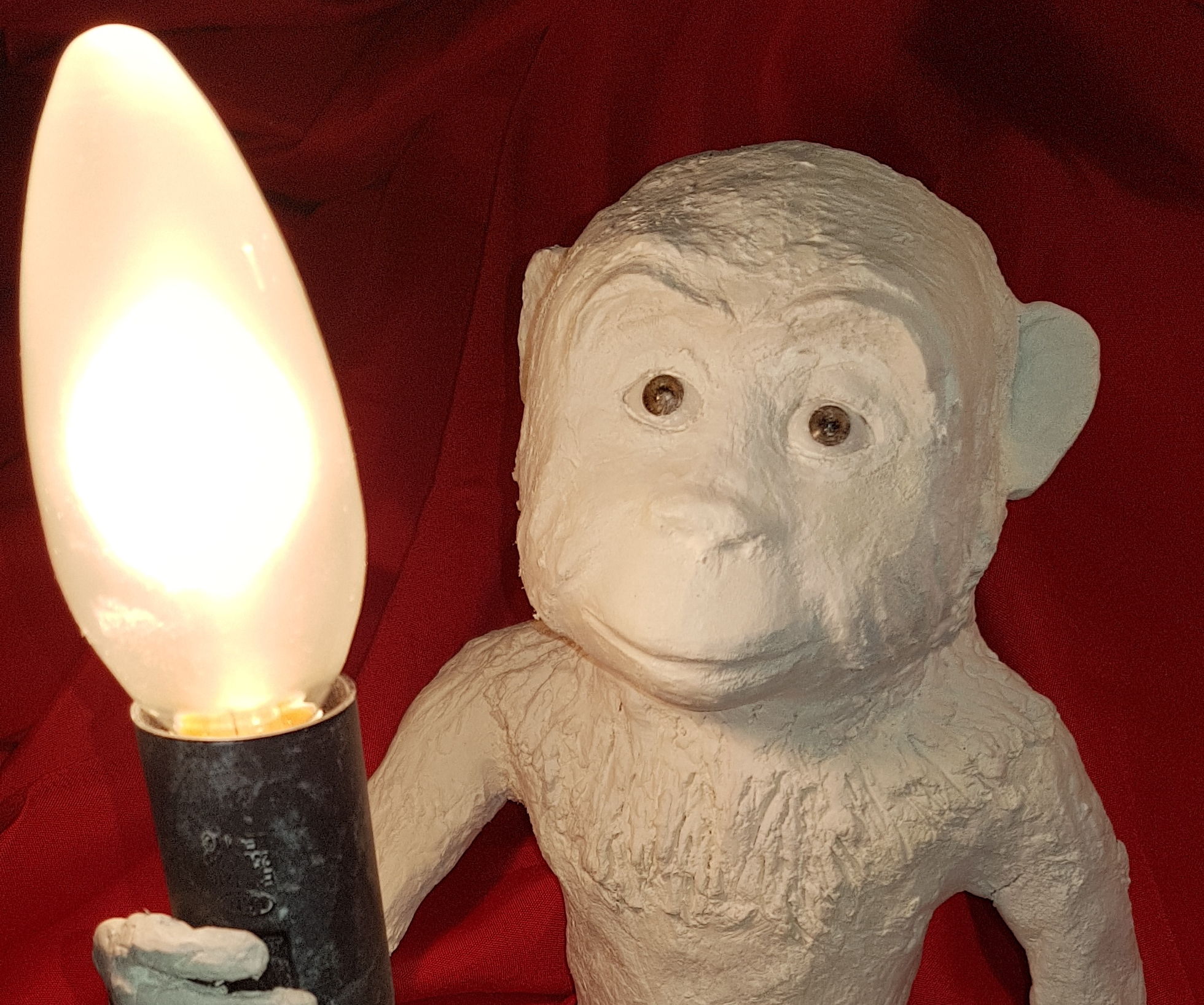 Just Monkeying Around