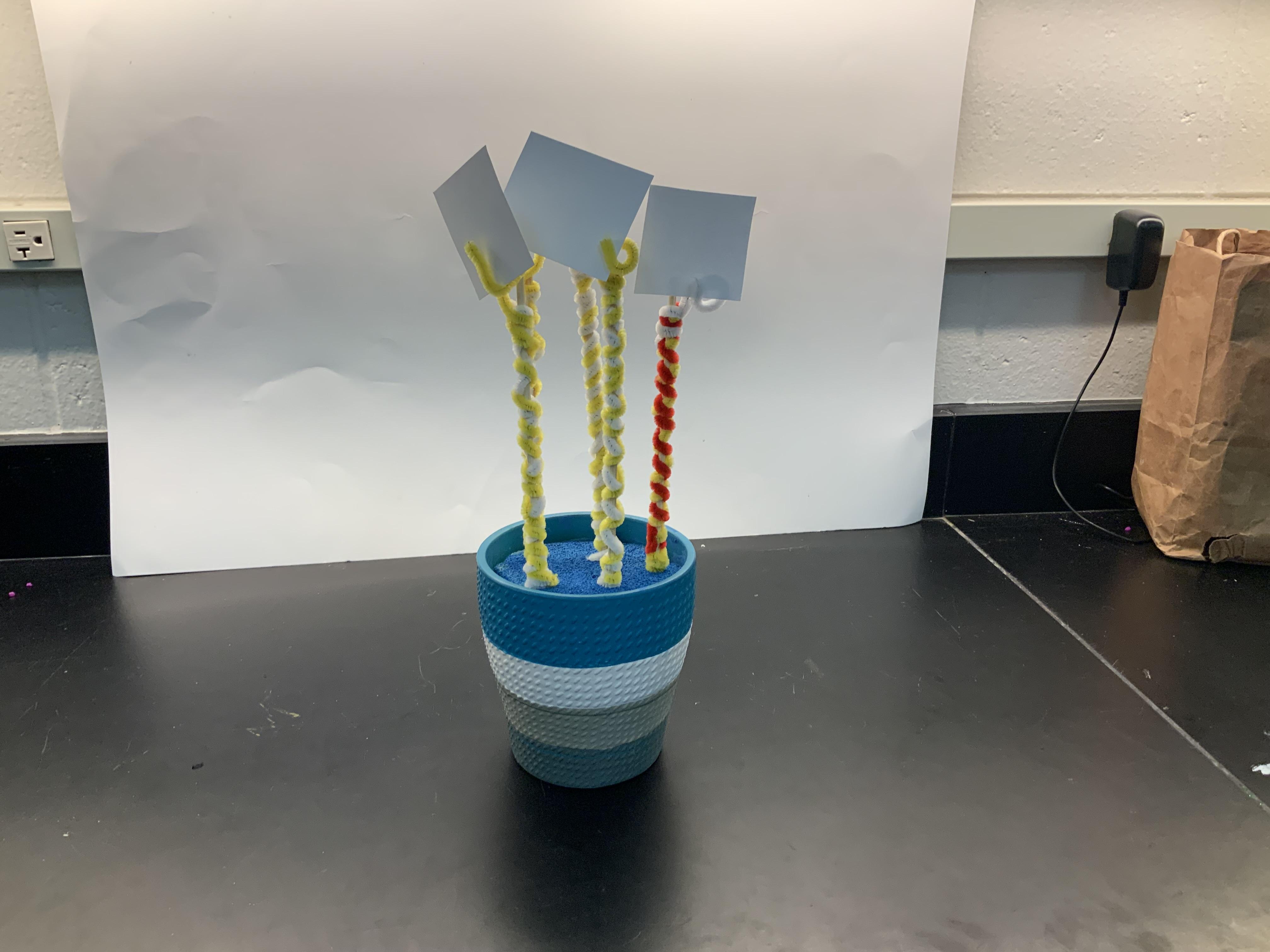 Picture Holder