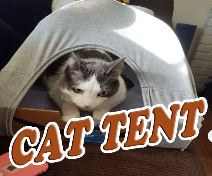 Cat Tent From Repurposed Materials