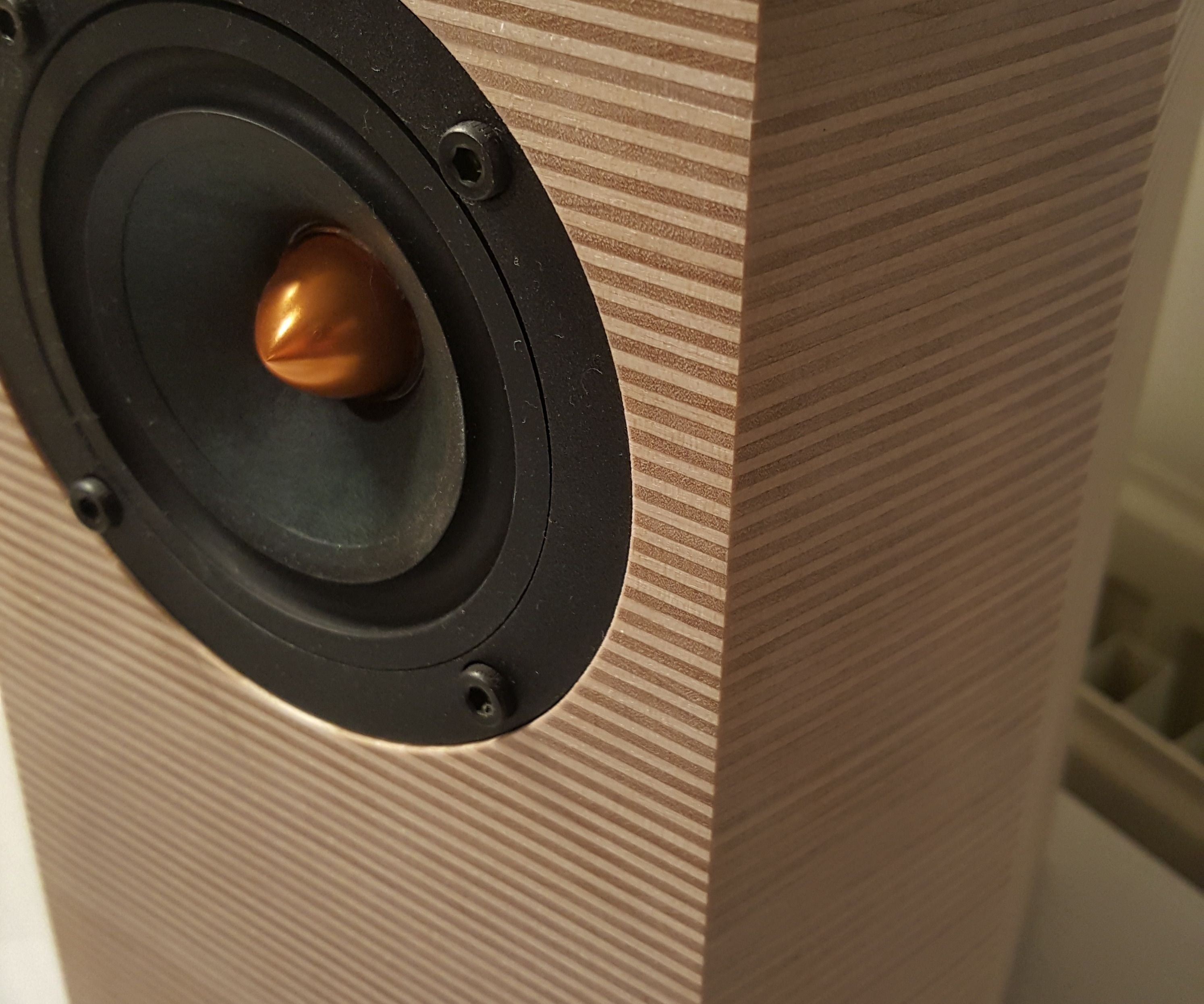 LK Audio Mini Monitor speakers (bookshelf)