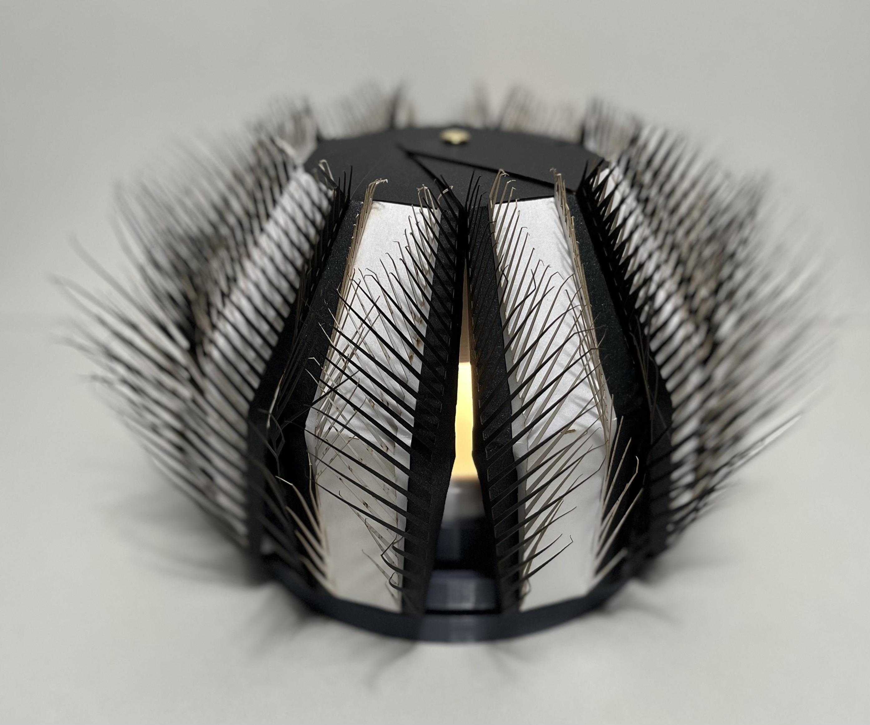 Articulating Lamp
