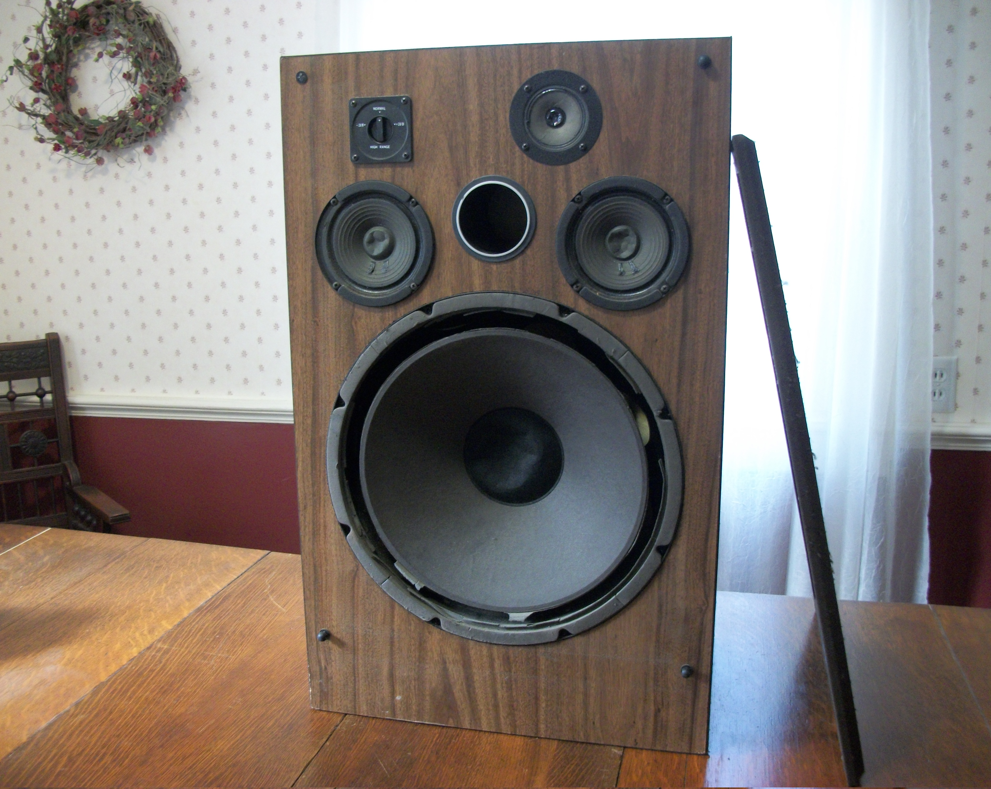 Loudspeaker Rescue
