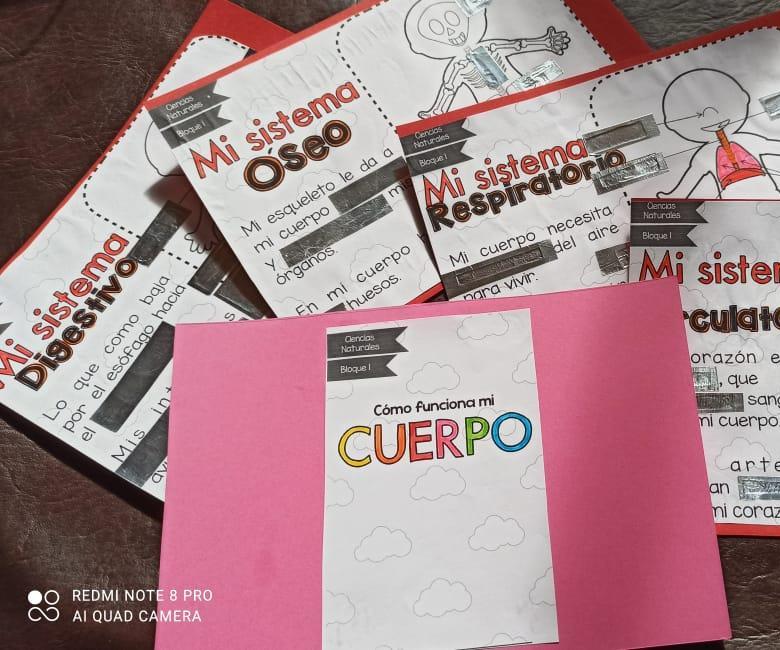 Tarjetas Interactivas De Anatomía Para Niños Pequeños