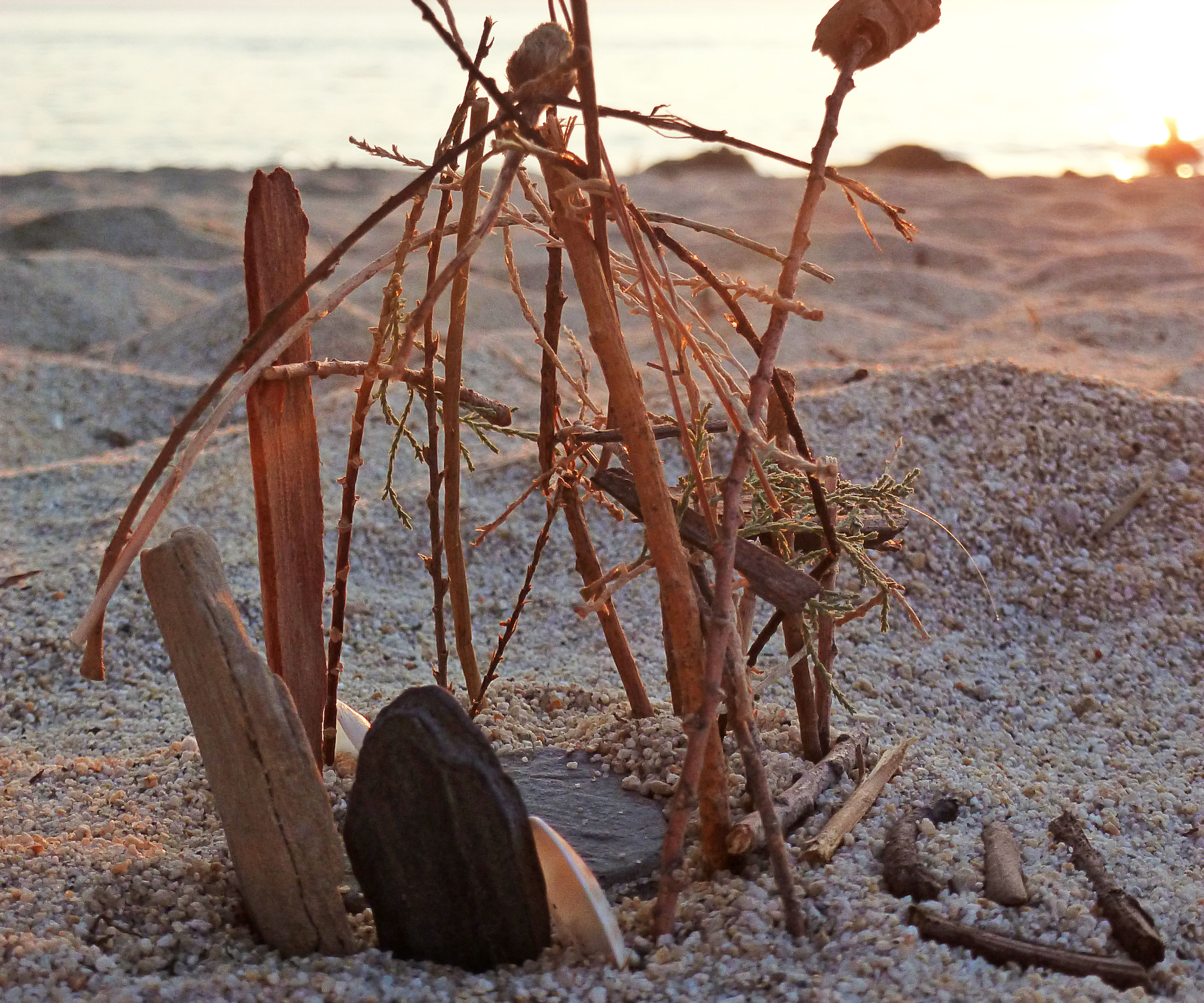 Beach Nest Castle