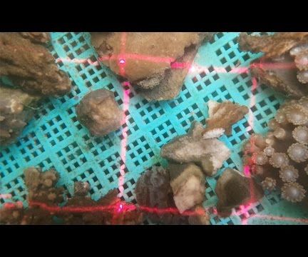 Laser Quadrat for Coral Reef Mapping