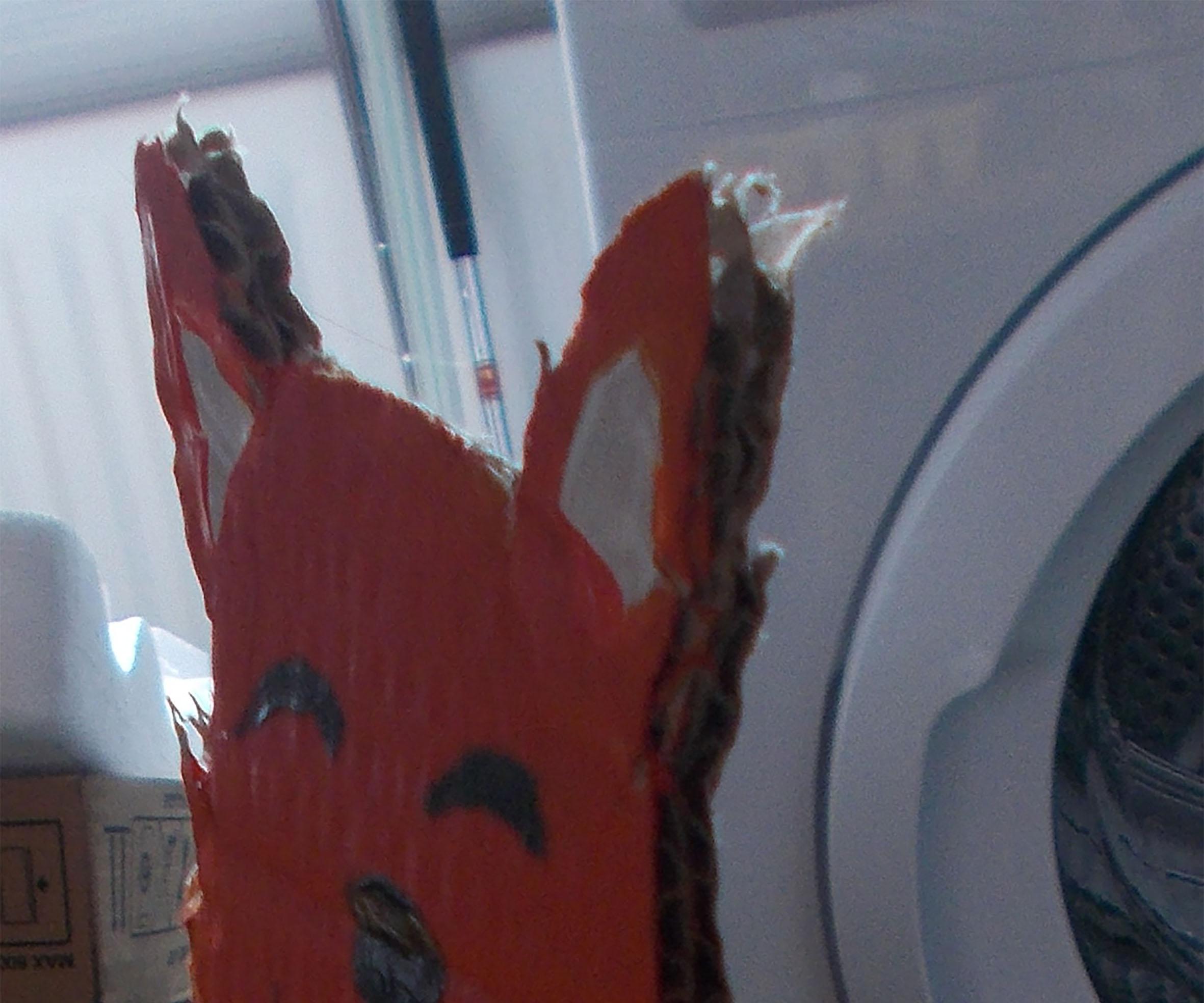Lesson 4: Cardboard Animal Fox