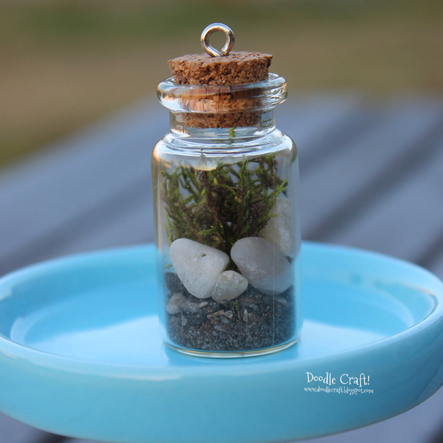 terrarium in a bottle sheet moss pebbles shells lucky charm plant necklace easy diy gift idea (4).JPG