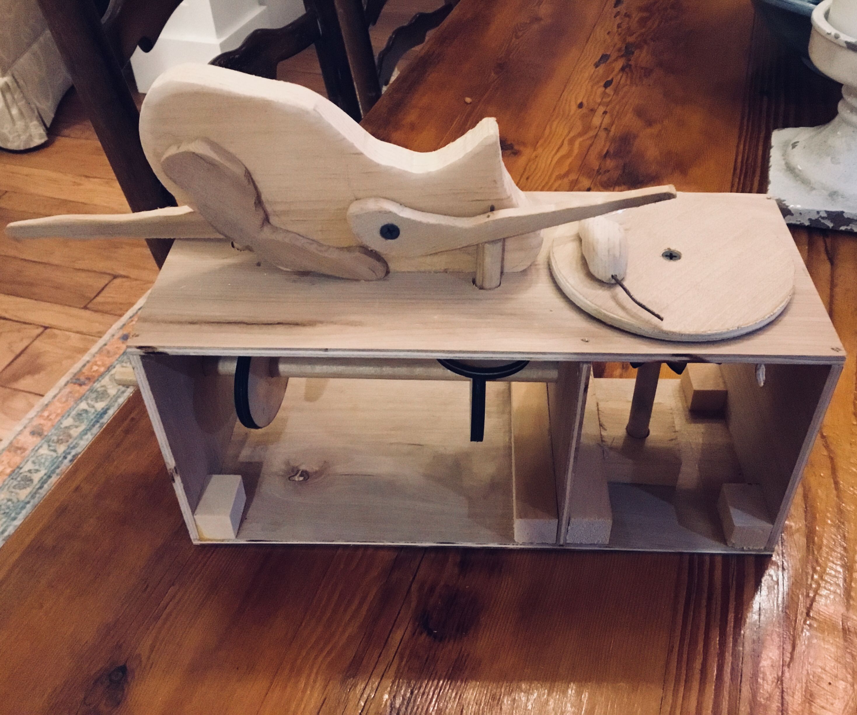 Cat and Mouse Automata 