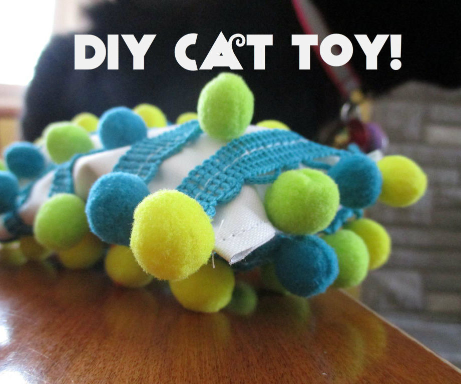 Double Awesome Cat Toy!