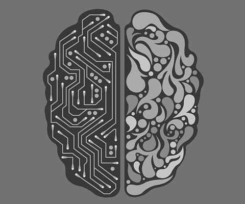Detecting Objects With Python: an Introductory Guide to Object Detection