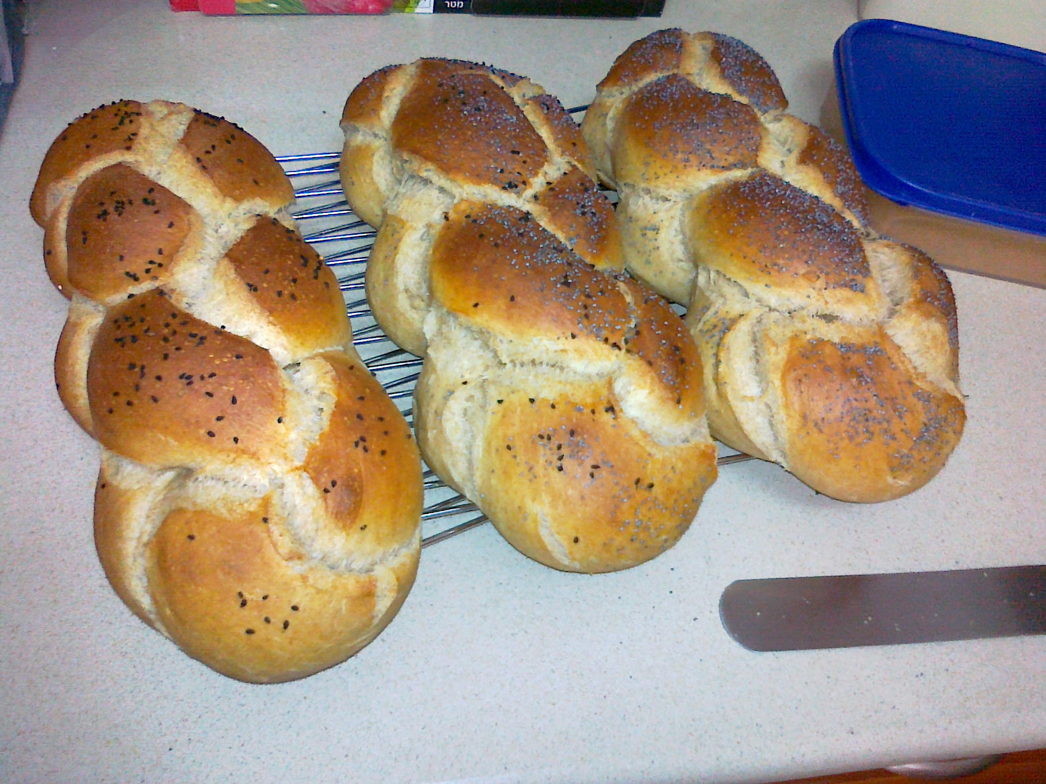 Almost No-Knead Egg Challa (including Braiding Instructions)