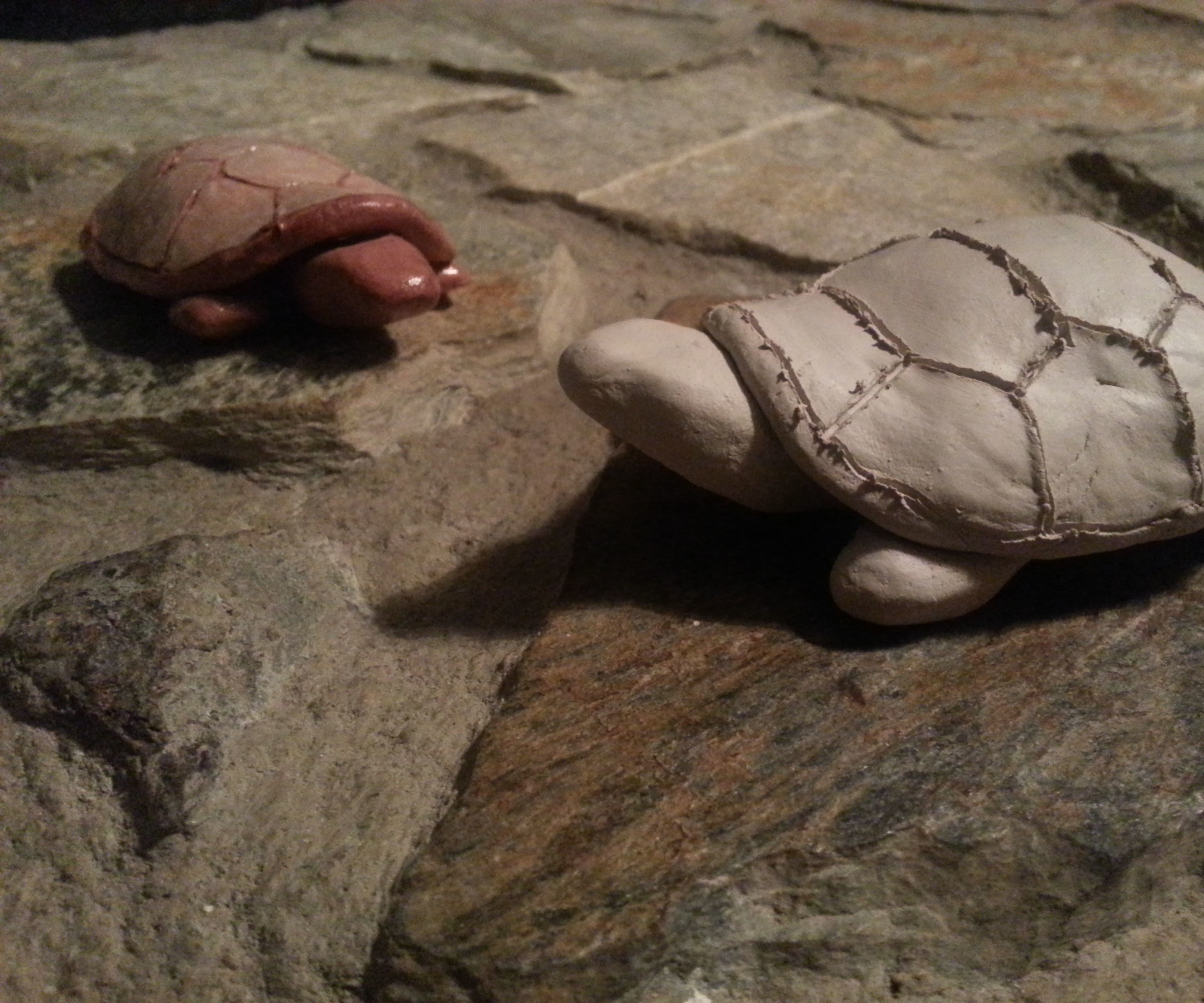 Clay Turtle Tutorial 