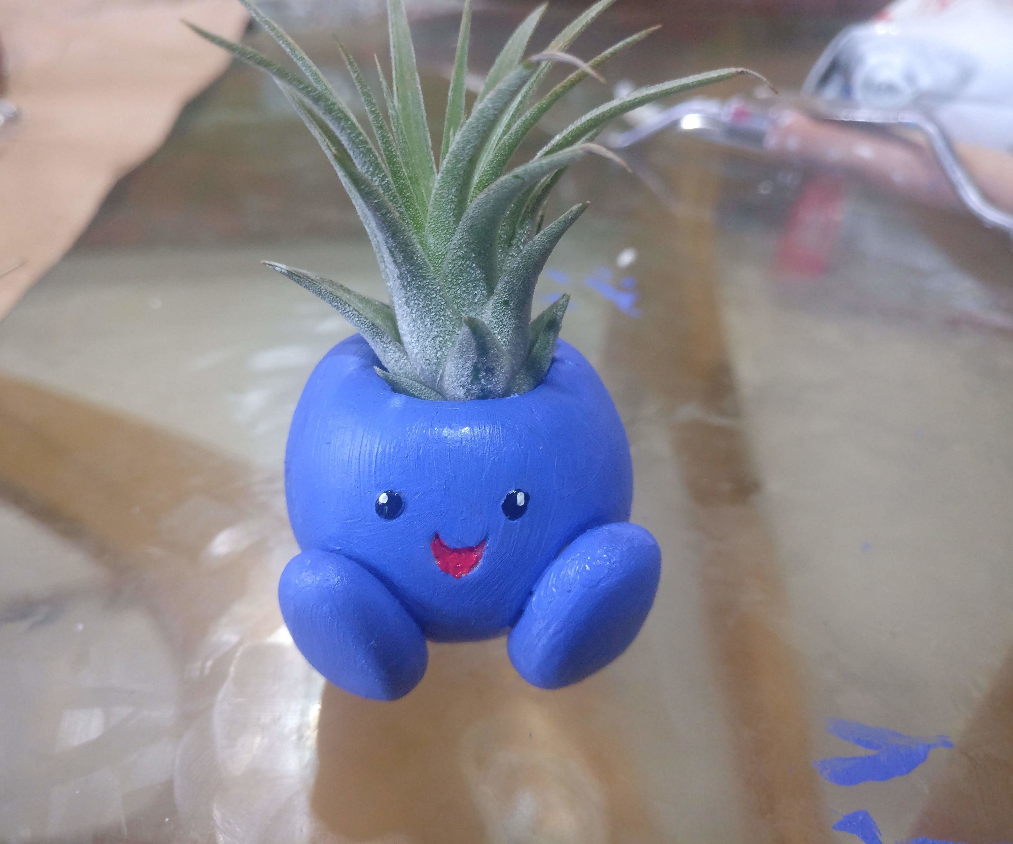 Oddish! a Tillandsia Planter