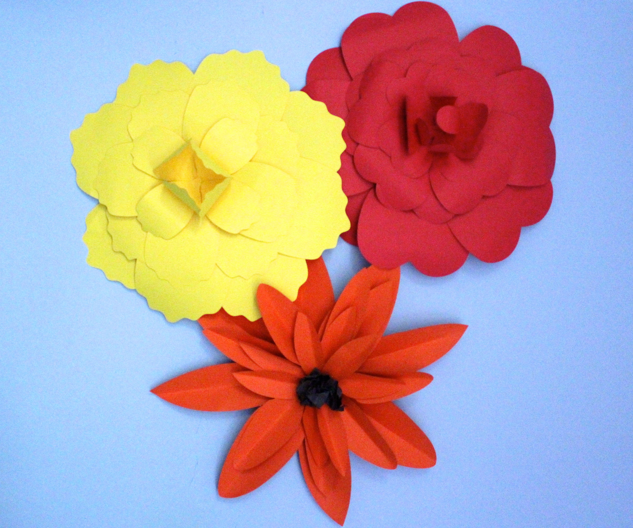 Giant Paper Flowers