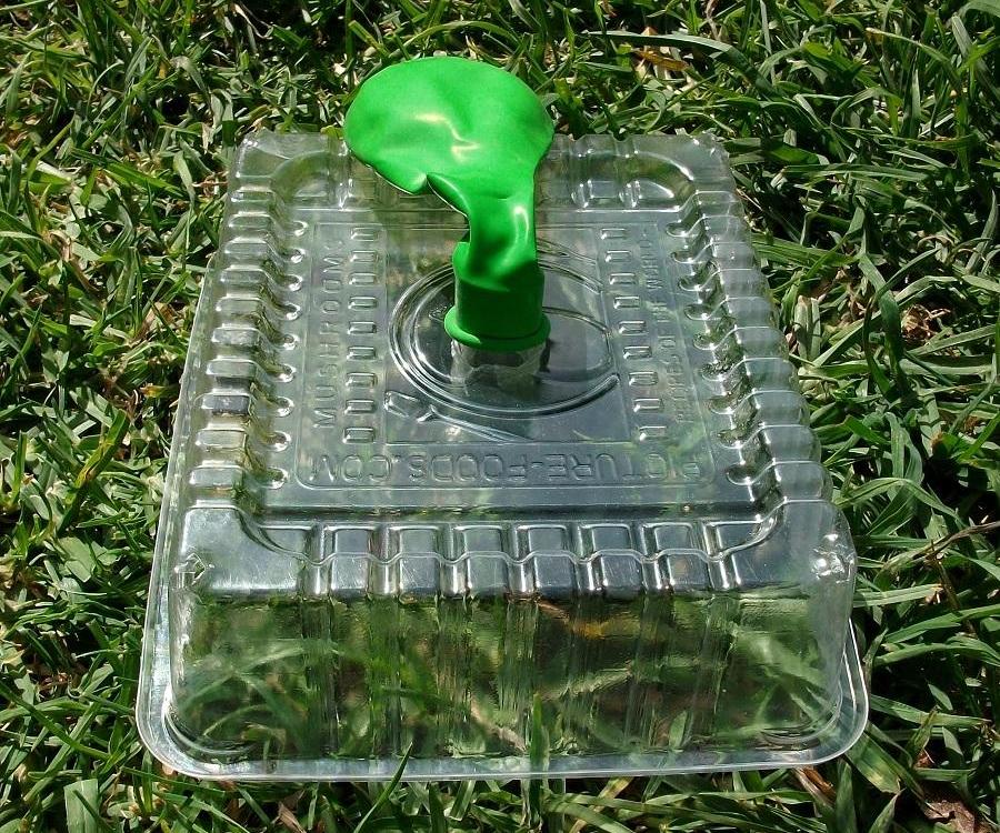 Toy Balloon Rocket