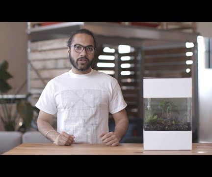 Project Oasis: Voice Terrarium