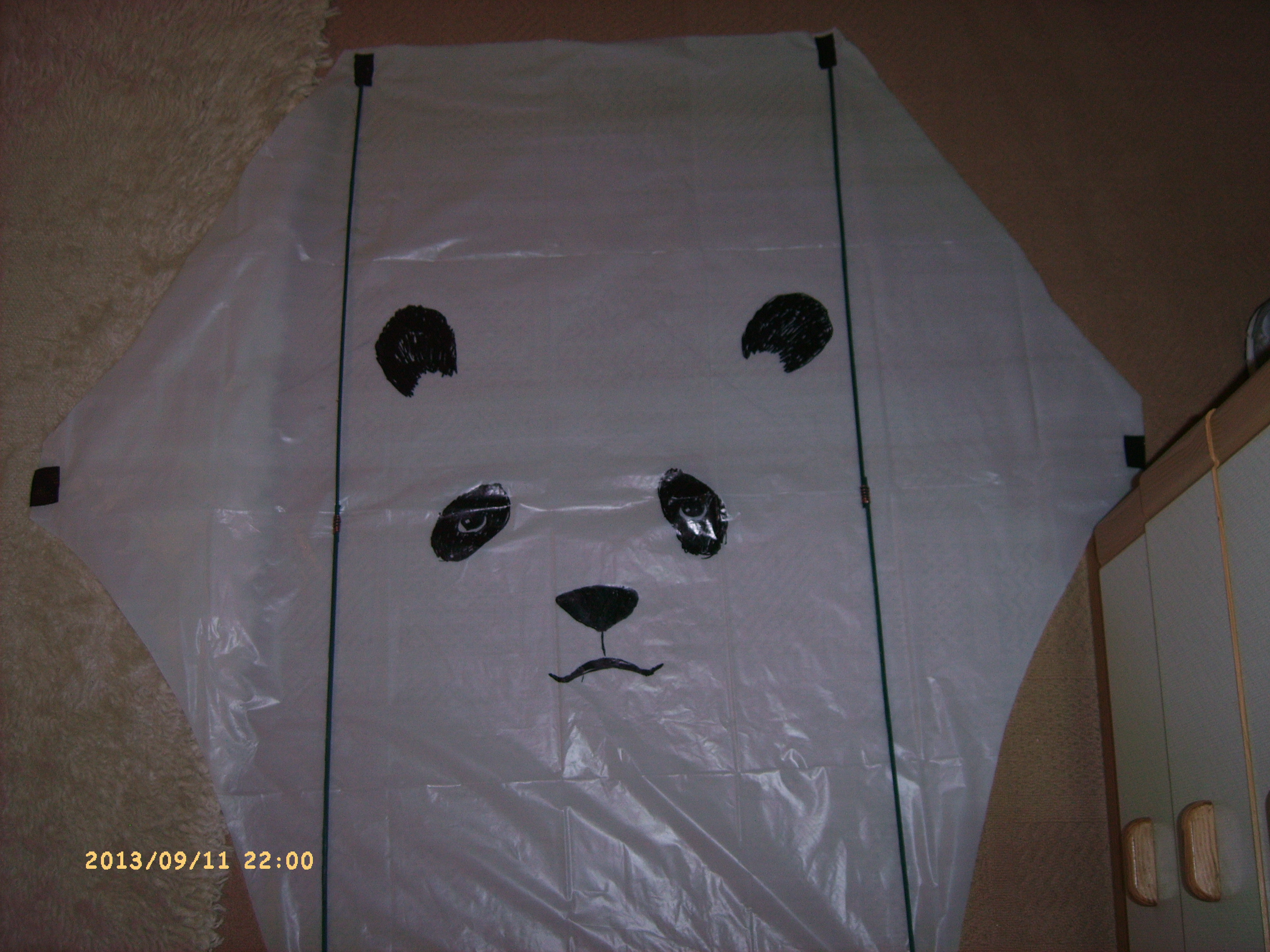 Kung Flew Panda Kite