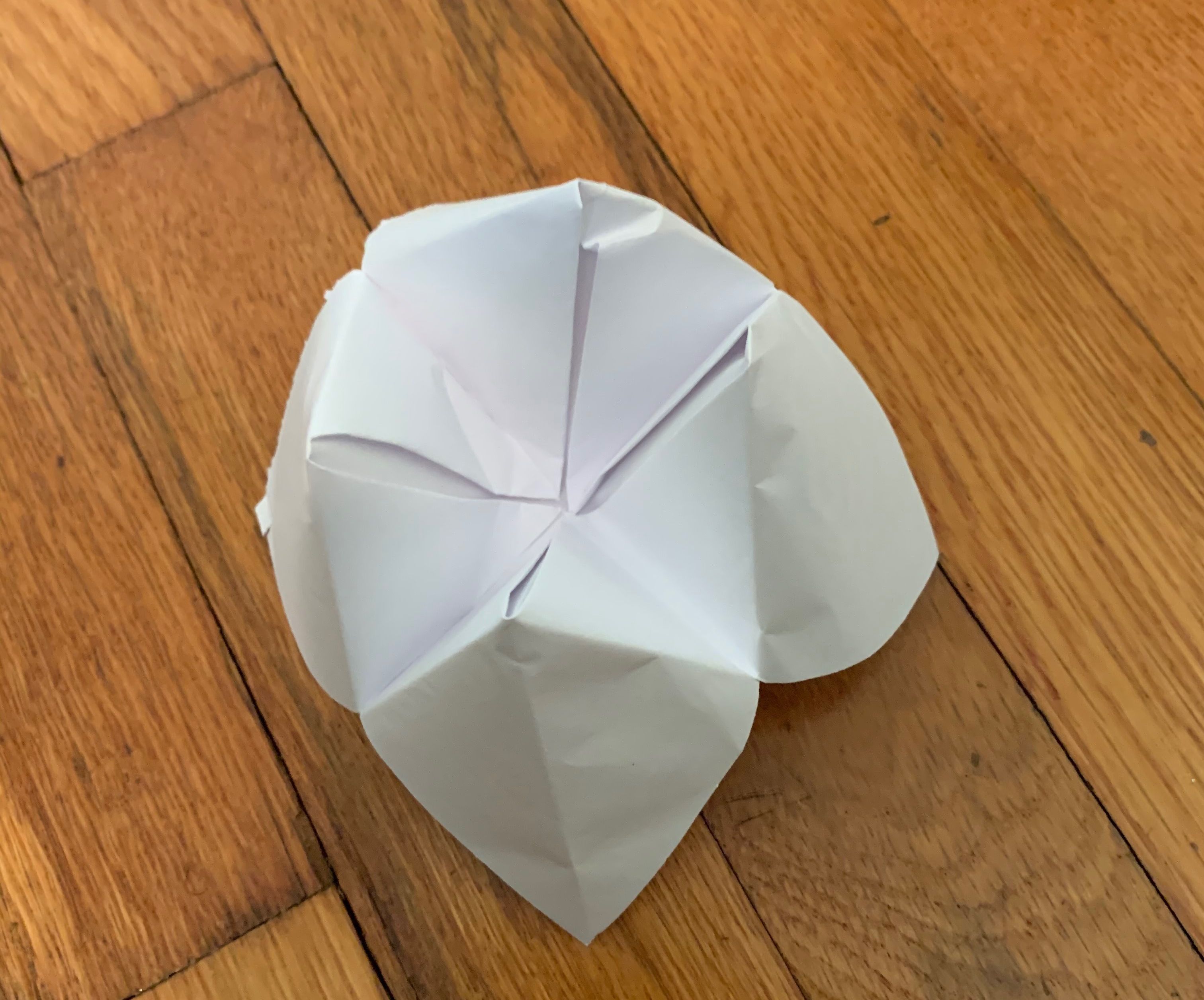 Fortune Teller