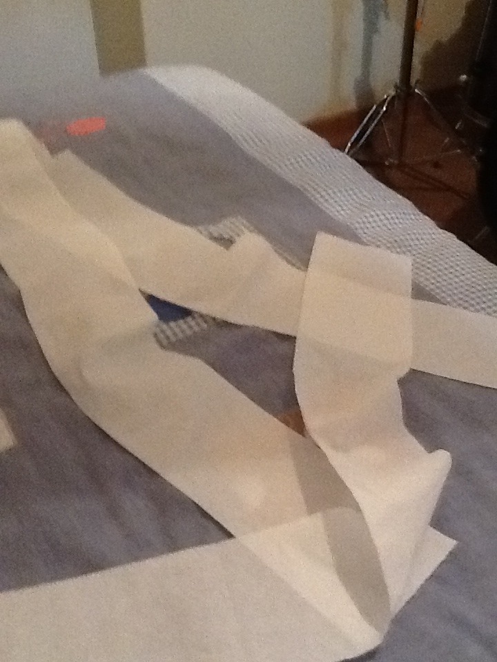 Toilet paper Rope