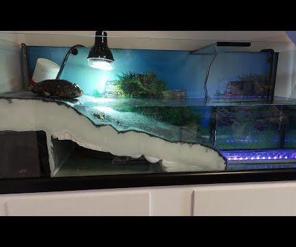 Aquatic Turtle Tank With Underwater Tunnel